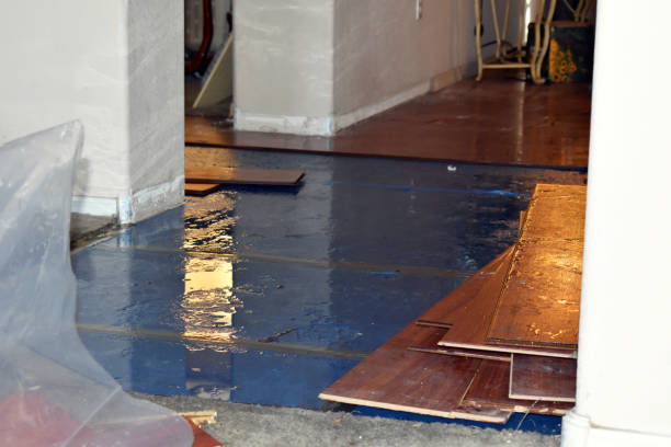 Professional Flood Damage Restoration technician working in Minden, NV
